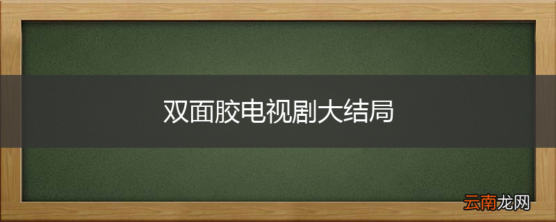 双面胶电视剧大结局