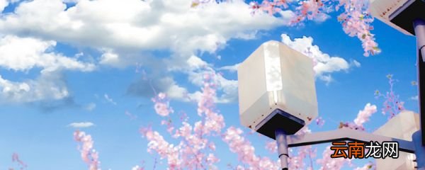 快手二次元频道是什么意思 快手二次元是什么意思