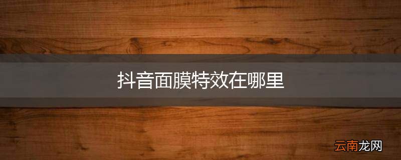 抖音面膜特效在哪里