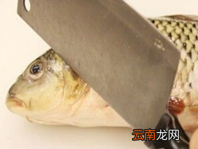 怎么杀活鱼