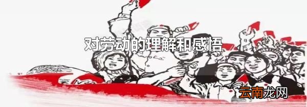 对劳动的理解和感悟