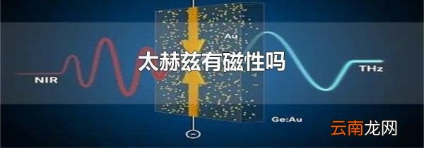 太赫兹有磁性吗