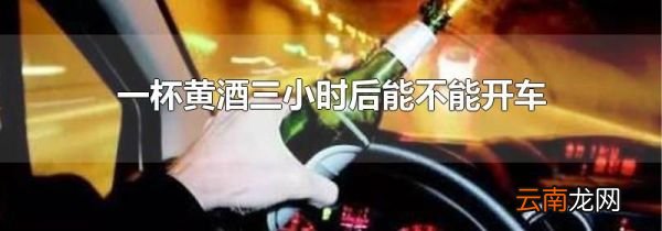 一杯黄酒三小时后能不能开车