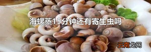 海螺蒸15分钟还有寄生虫吗