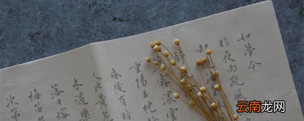 词苑千载群芳竞秀哪位才女 词苑千载说的是哪位历史上的才女