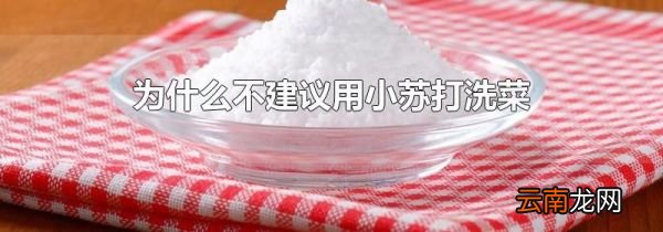 为什么不建议用小苏打洗菜