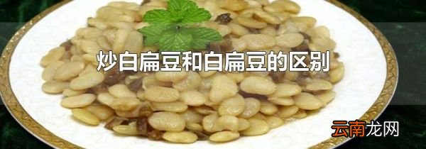 炒白扁豆和白扁豆的区别