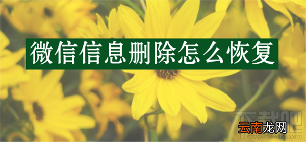 苹果手机微信信息删除怎么恢复?