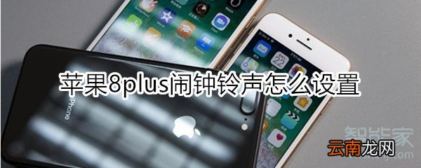 苹果8plus闹钟铃声怎么设置