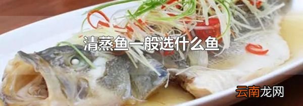 清蒸鱼一般选什么鱼