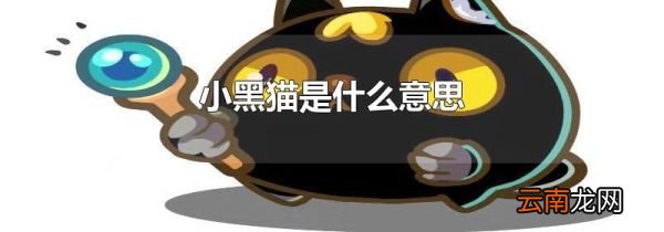 小黑猫是什么意思