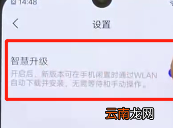 iqoo手机中将系统自动更新关掉具体操作步骤