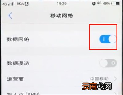 vivo手机中关闭移动流量的详细步骤