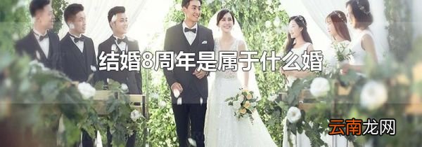 结婚8周年是属于什么婚