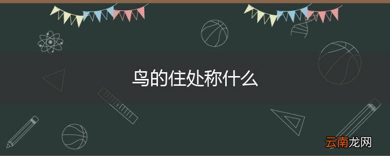 鸟的住处称什么
