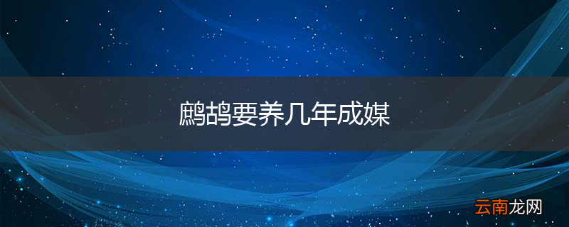 鹧鸪要养几年成媒