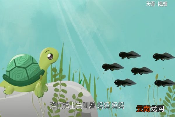 小蝌蚪找妈妈的故事