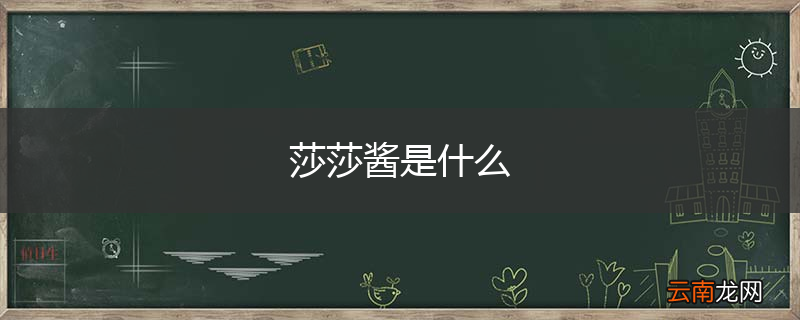 莎莎酱是什么
