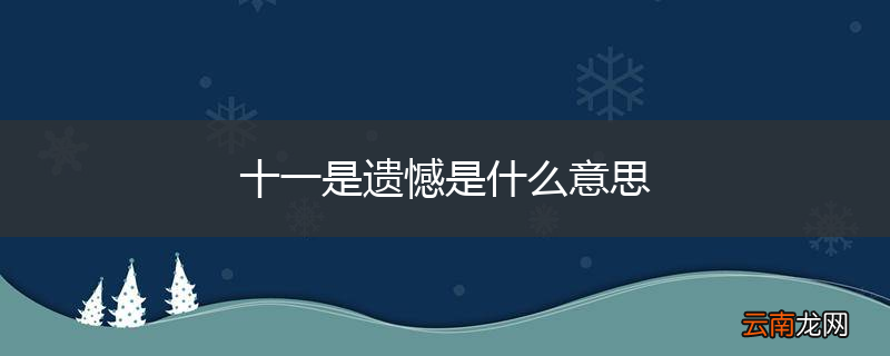 十一是遗憾是什么意思