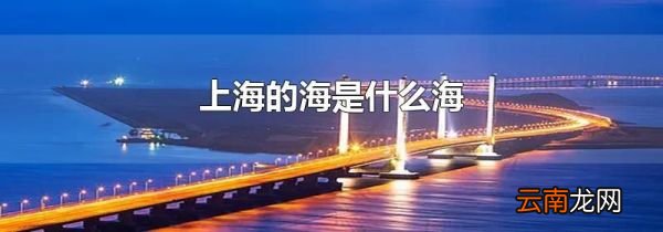 上海的海是什么海