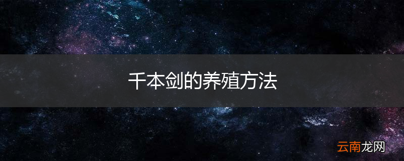 千本剑的养殖方法