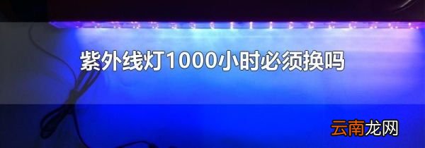 紫外线灯1000小时必须换吗