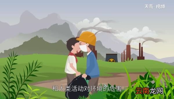 世界环境日的意义世界环境日的意义是什么