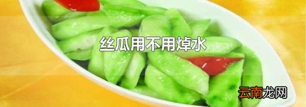 丝瓜用不用焯水
