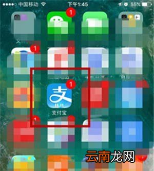支付宝怎样预定体育场馆?