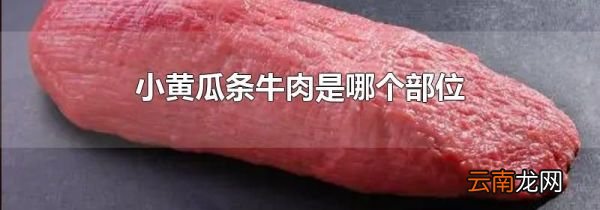 小黄瓜条牛肉是哪个部位