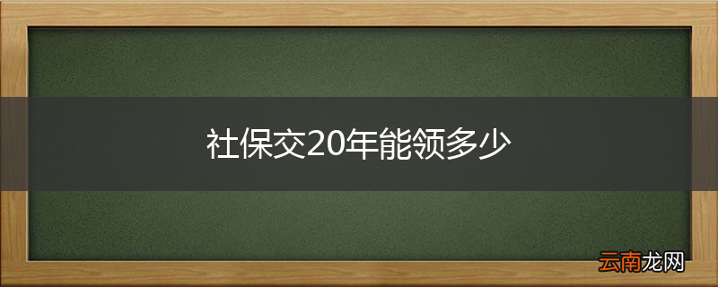 社保交20年能领多少
