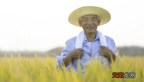 关于劳动的优美句子 有哪些赞美劳动的语句