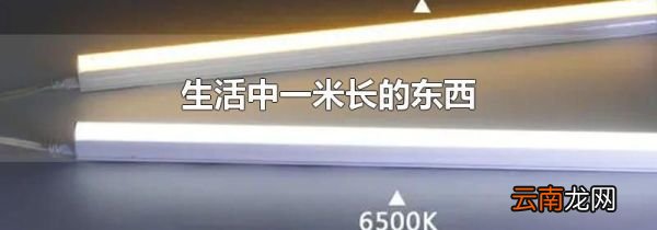 生活中一米长的东西