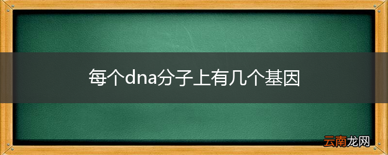 每个dna分子上有几个基因