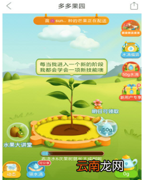 拼多多中果园除草具体操作步骤