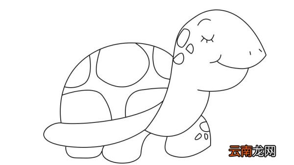 龟简笔画 龟的画法