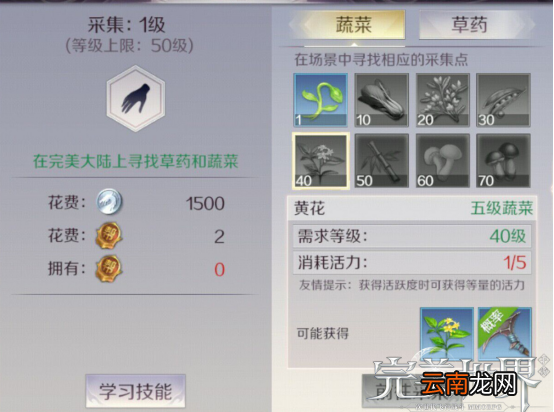 完美世界手游生活技能学习推荐
