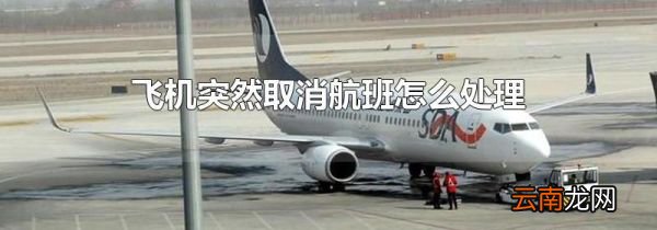 飞机突然取消航班怎么处理