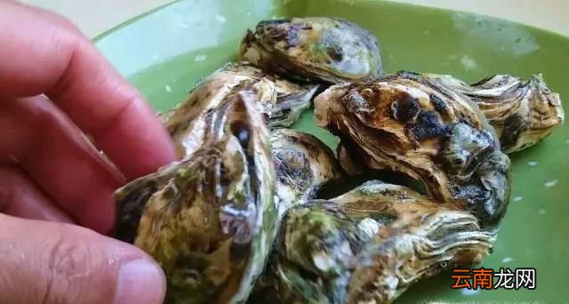 牡蛎内脏怎么去除