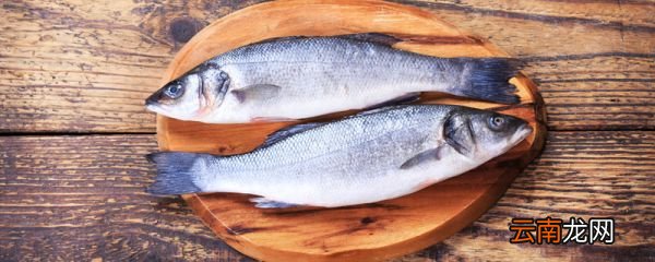 鲈鱼蒸8分钟熟了吗 鲈鱼的营养价值