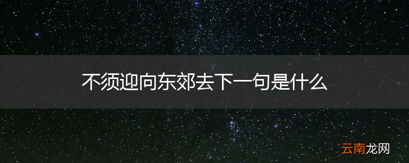 不须迎向东郊去下一句是什么