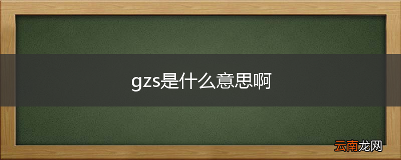 gzs是什么意思啊