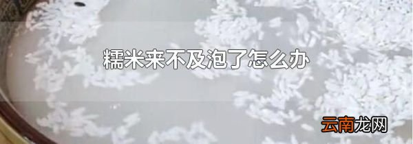 糯米来不及泡了怎么办