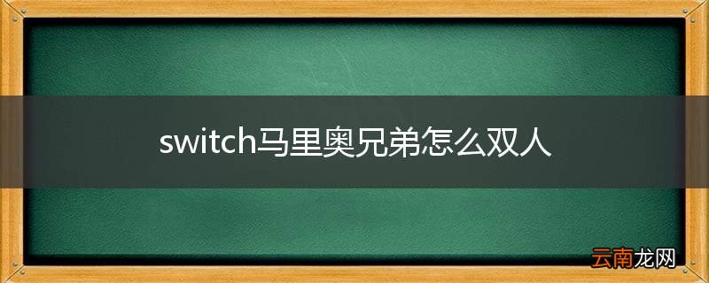 switch马里奥兄弟怎么双人