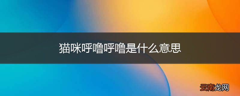 猫咪呼噜呼噜是什么意思