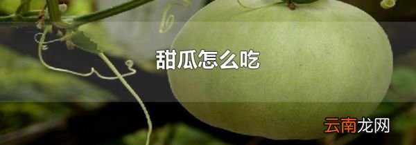 甜瓜怎么吃