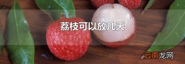荔枝可以放几天