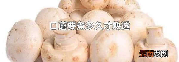 口蘑要煮多久才熟透