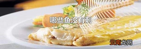 哪些鱼没有刺