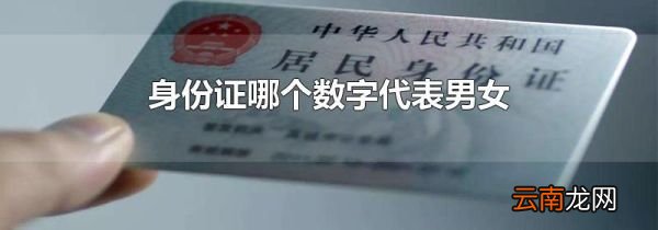 身份证哪个数字代表男女